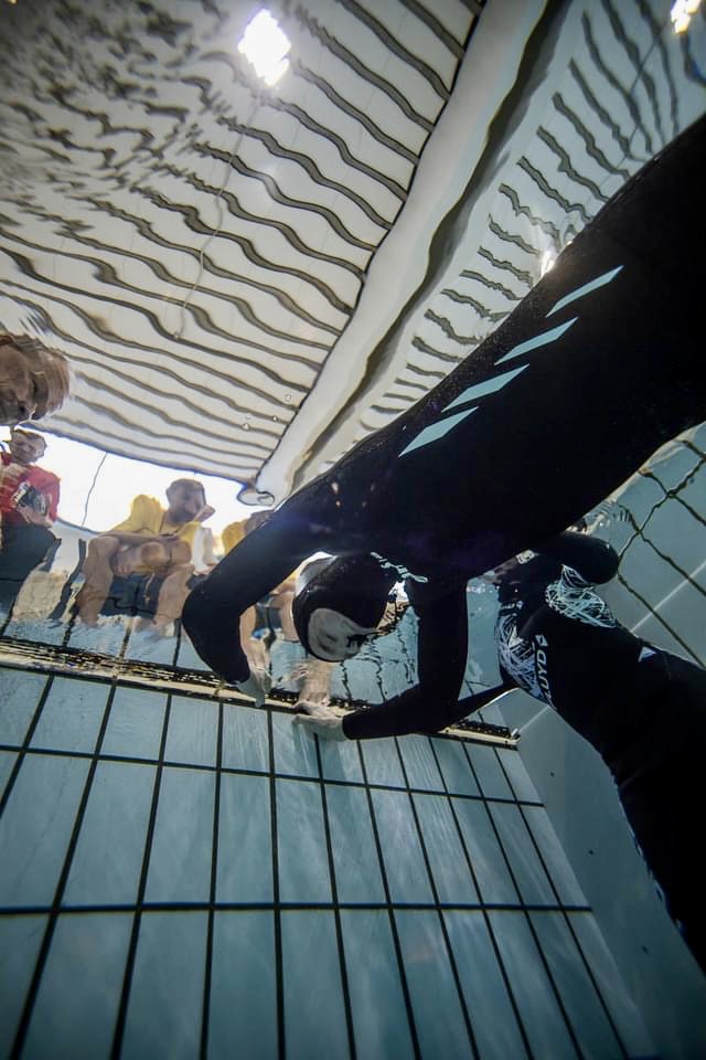 316172789 5572219262875586 9098384753493428633 N